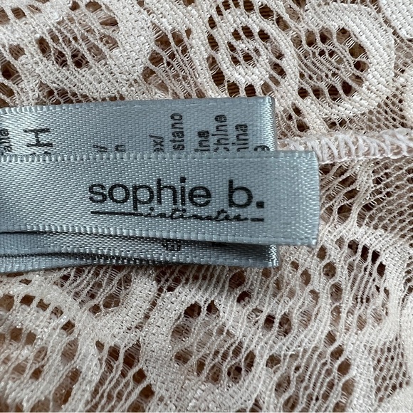 Nude Beige Lace Cheeky Underwear Small Sophie B NWOT Stretch Breathable Glam - Picture 6 of 8